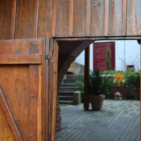 La Teo Pensiune Si Pivnita Sighisoara Bagian luar foto